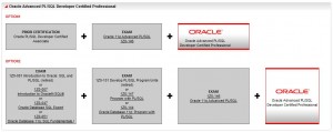 Oracle Advanced PL/SQL Developer Certified Professional