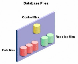 DATA FILES